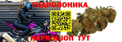 трава Анжеро-Судженск