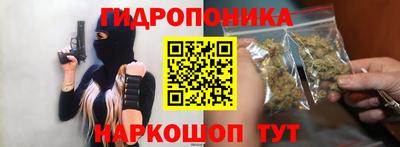 индика Анапа