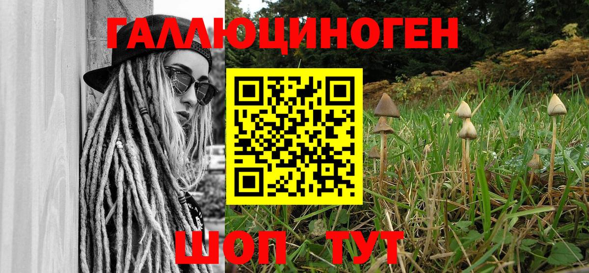 закладки  Вход с VPN  Алексин  Псилоцибиновые грибы Psilocybine cubensis 